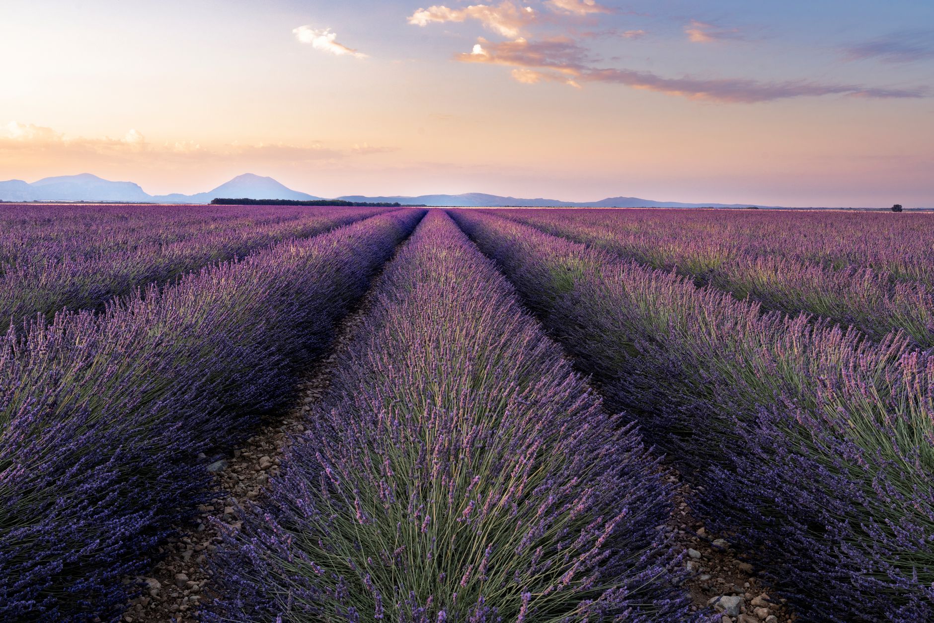 Provence