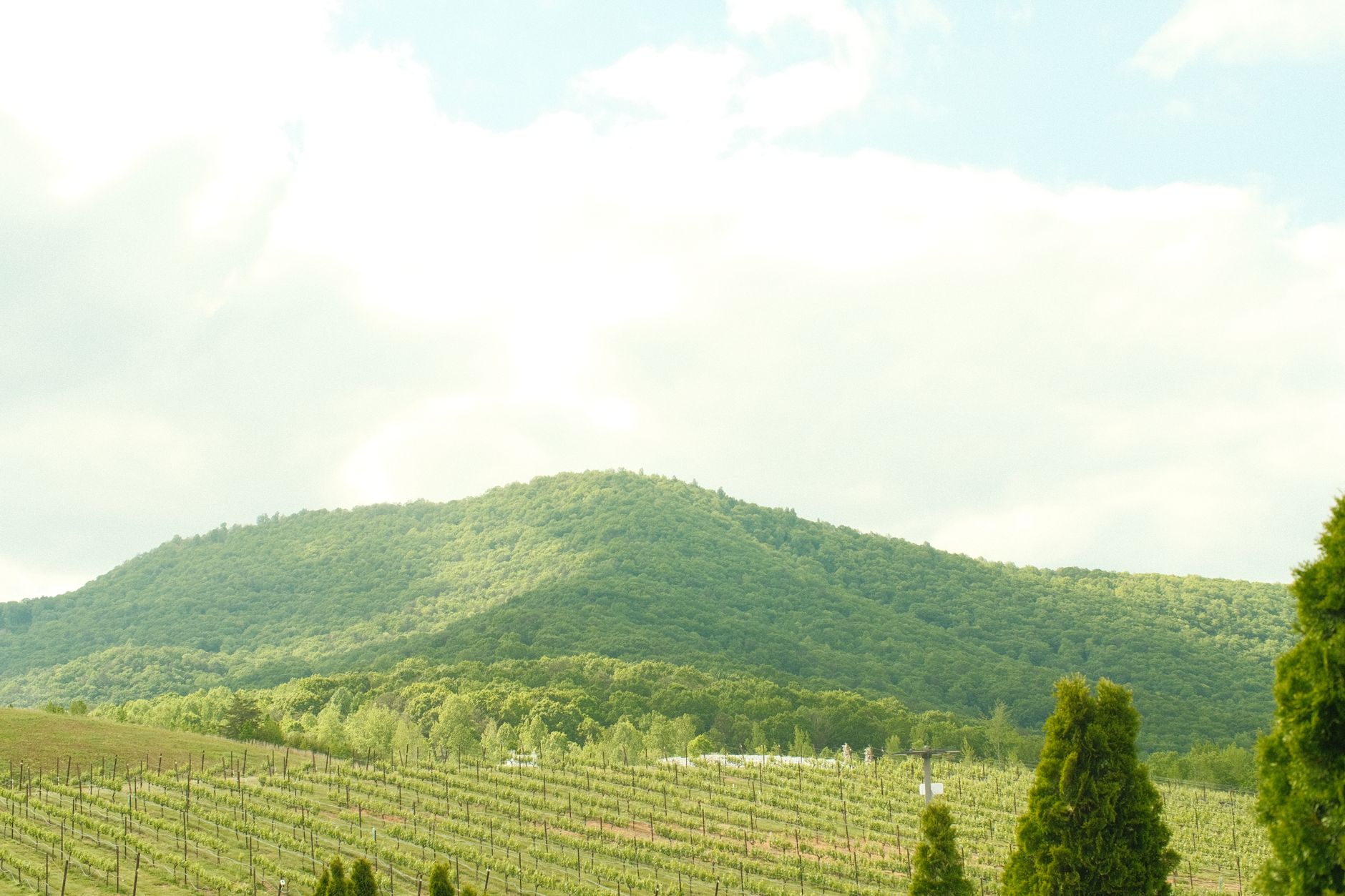 Kakheti wine country