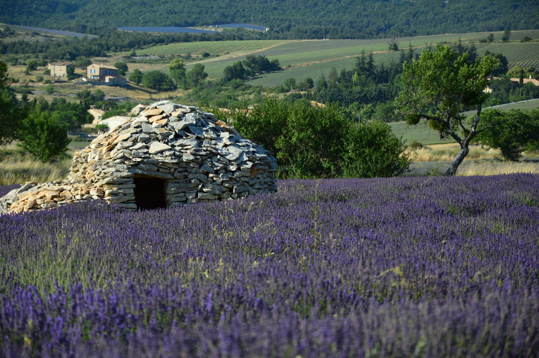 France