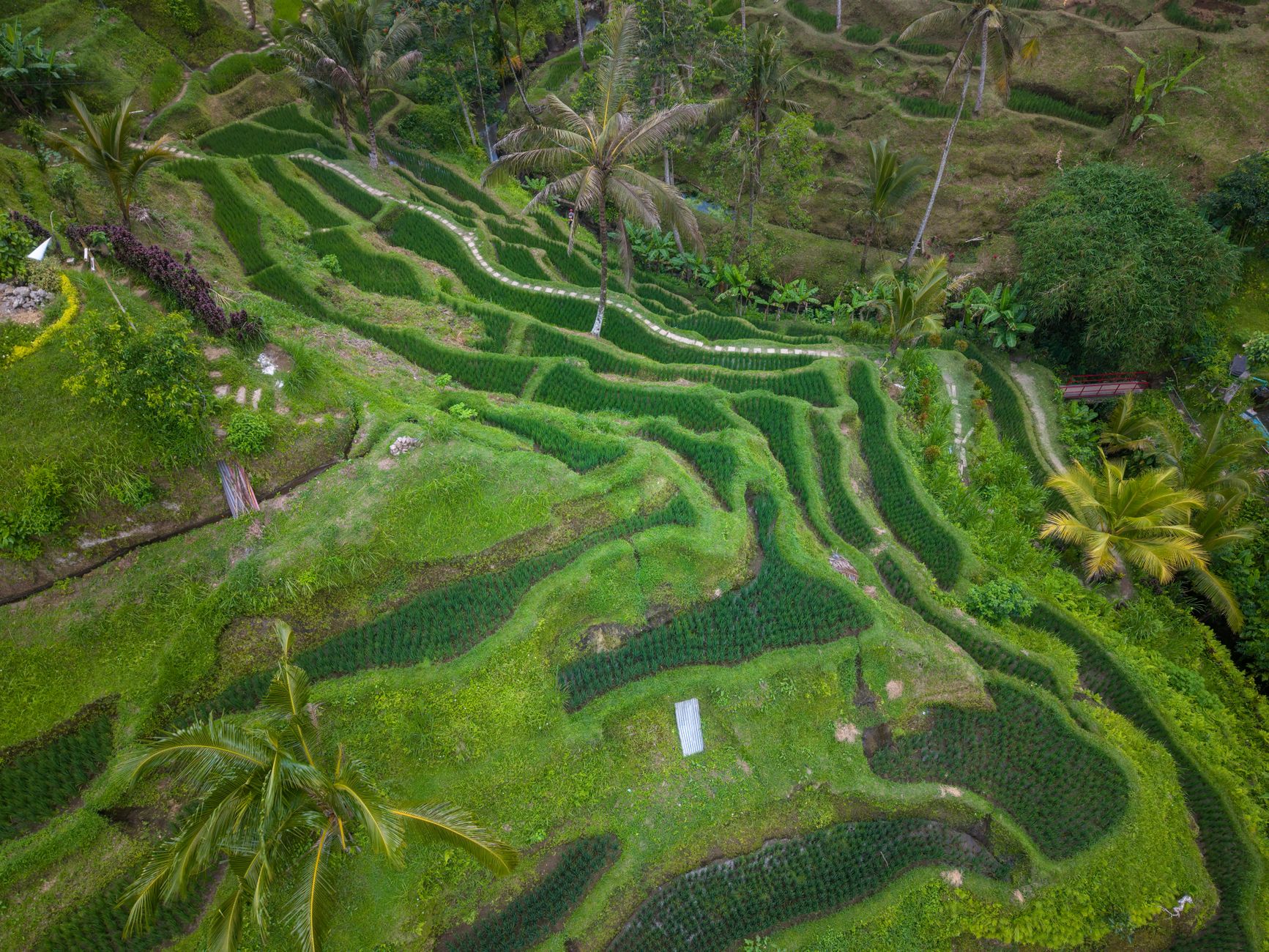 Indonesia