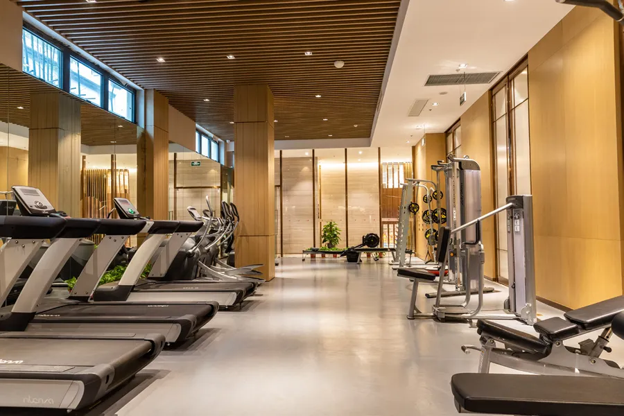 Fully Equipped Gym at Azizi Noura.
