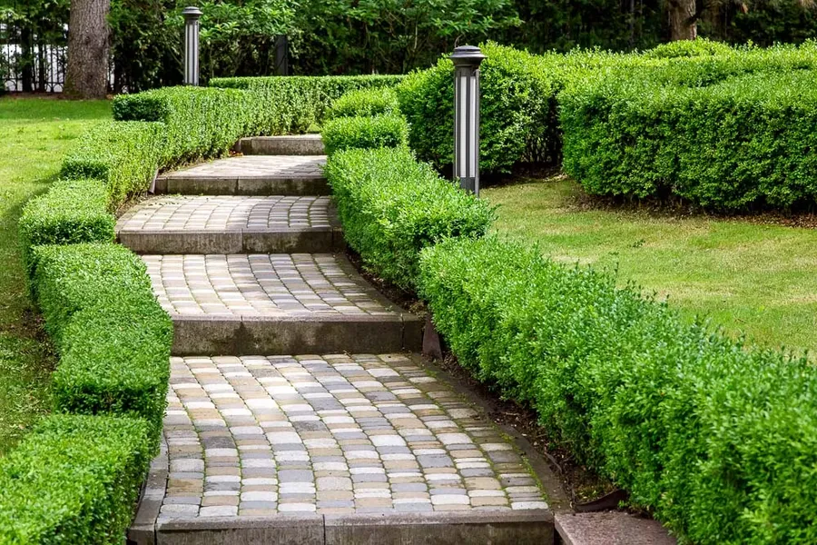 Landscaped Walk-In Areas at Azizi Amir.