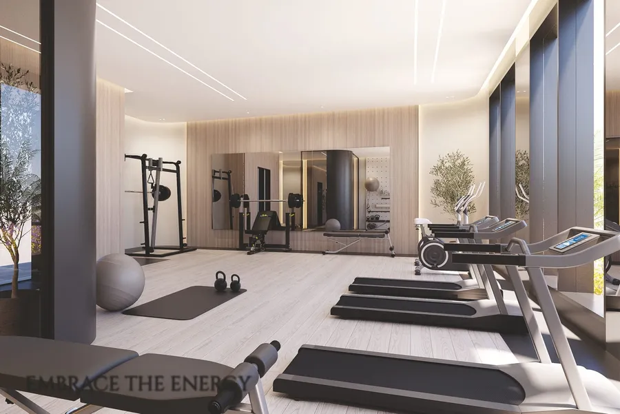 Indoor & Outdoor Gym at Samana Portofino.