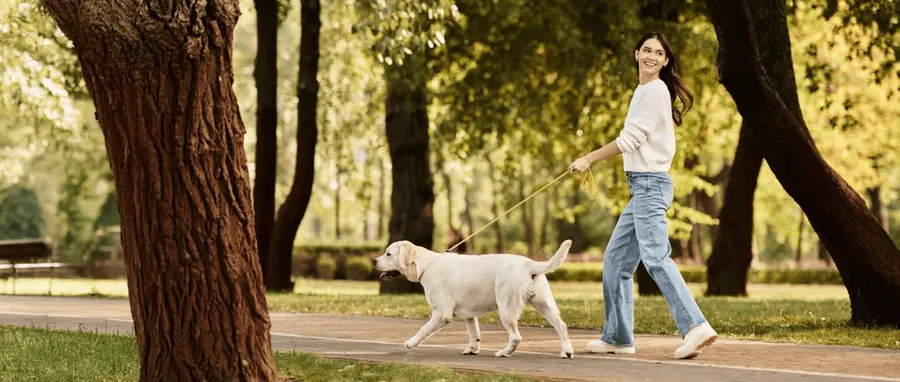 Pet-Friendly Spaces at The Element at Sobha One.