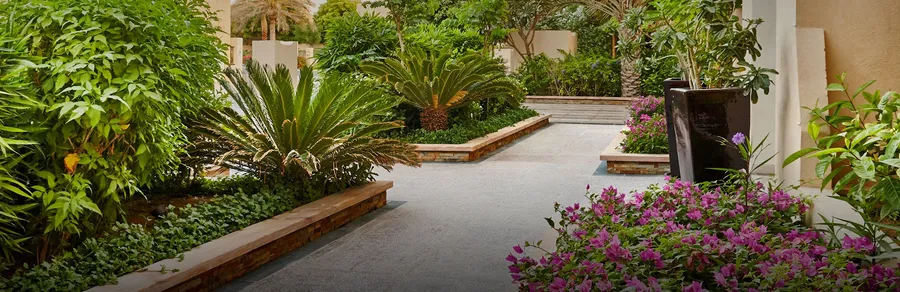 Garden at Bloom Living 7 - Almeria.