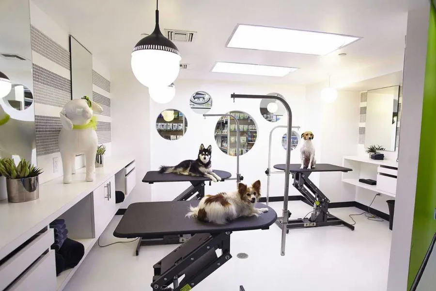 Pet Grooming Rooms at Mandarin Oriental Residences.