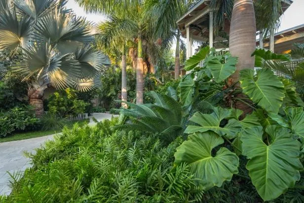Lush Green Zones at Hudayriyat Golf Estates.