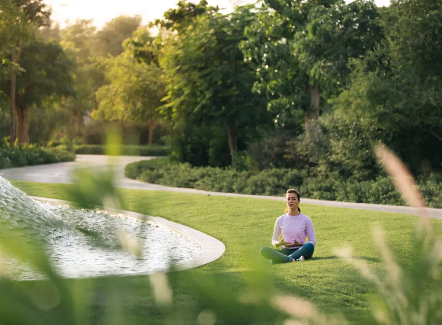 Yoga And Meditation at Sequoia.