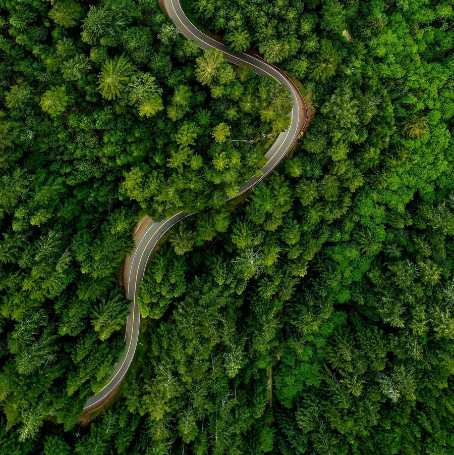 Running & Cycling Tracks at Sequoia.