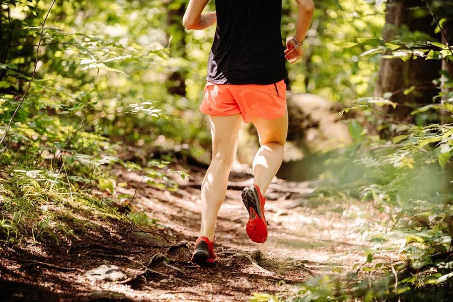 Woodland Jogging Track at Masaar 2 Anber.