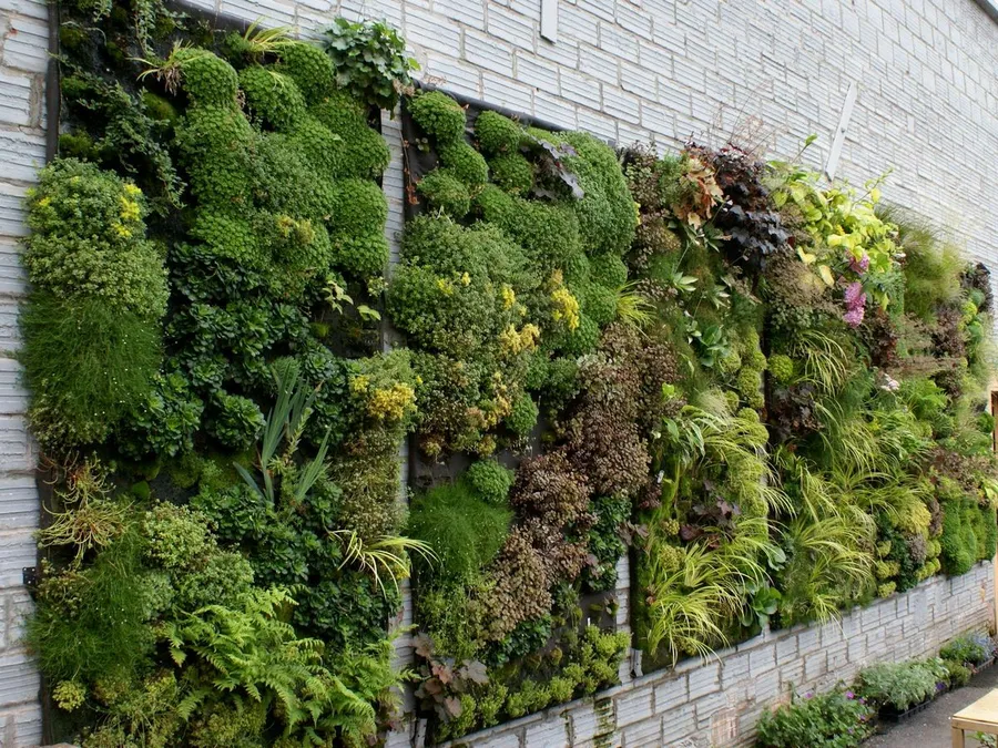 Vertical Garden at Laguna Residence.