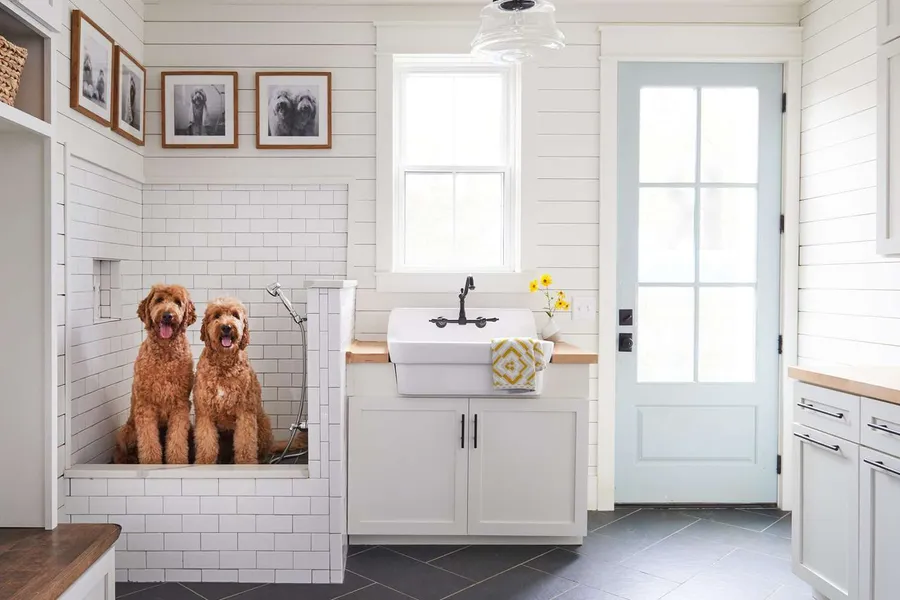 Pet Washroom at Ellison.
