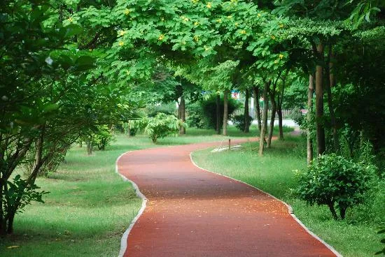 Jogging Tracks at Keturah Reserve.