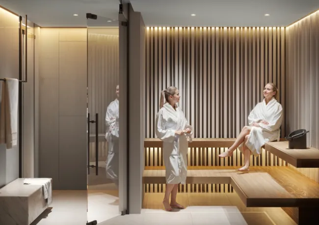 Sauna at V1STARA House.