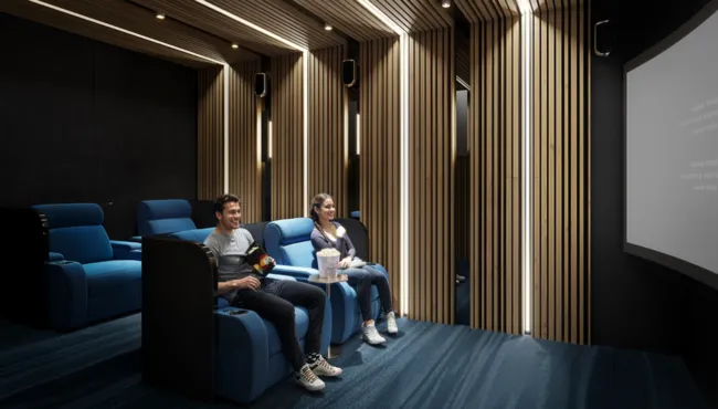 Cinema at V1STARA House.