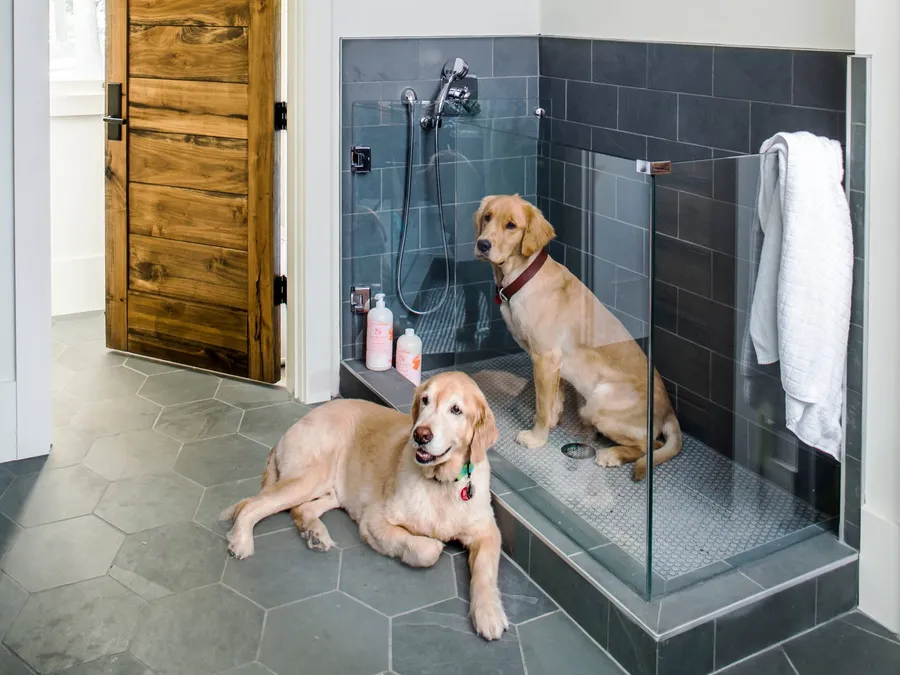  Pet Washroom at Fiori Residences.