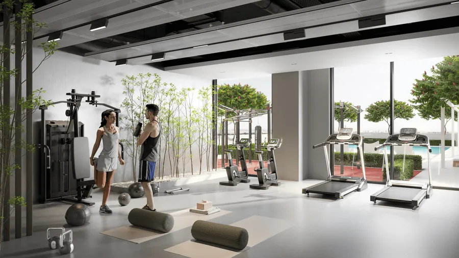 Gym at S1LV1ANA Park.
