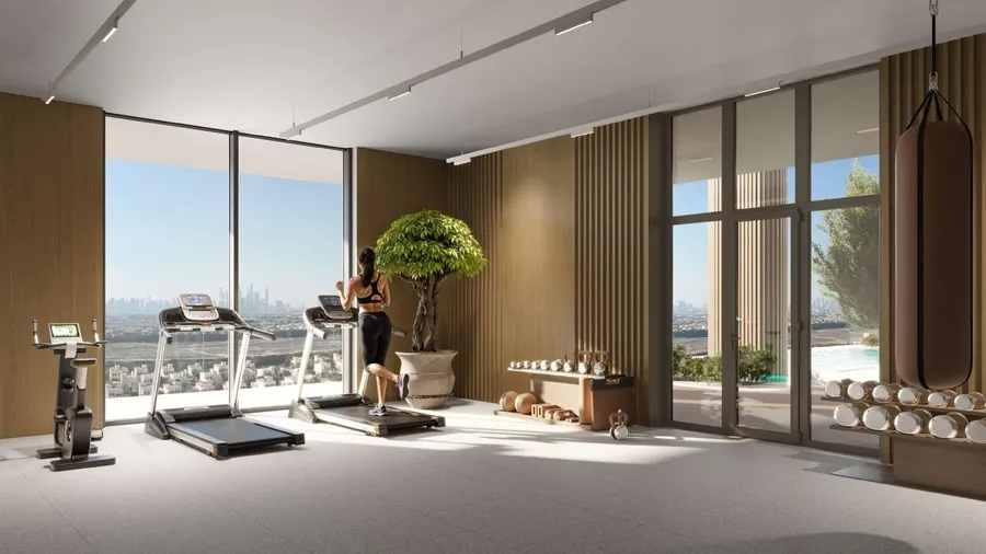 Indoor Gym at ELAR1S Sky.