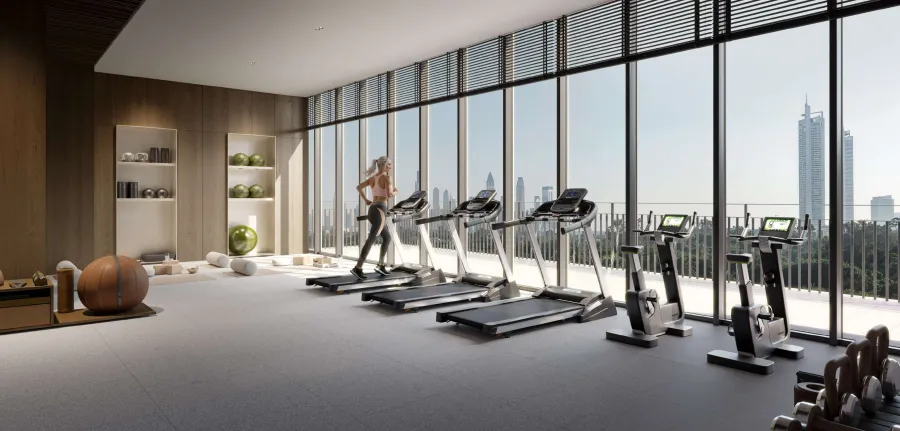 Gym at VERDAN1A 5.