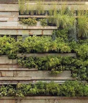 Organic Plants Garden at Keturah Ritz Carlton.