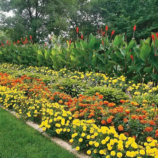 Landscaping & Plantation
at The Autograph i Series Residence.