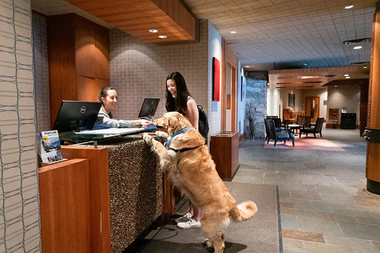 Pet Friendly at Autograph S Series Residence.
