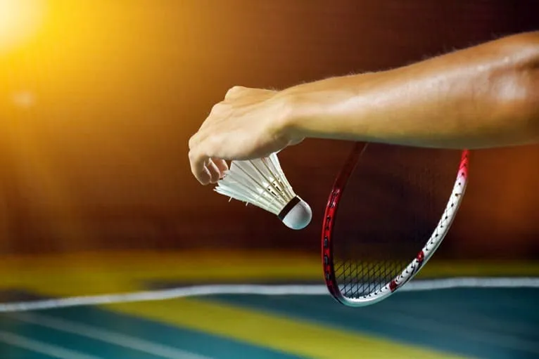 Paddle Tennis Court | Badminton Court at 330 Riverside Crescent.