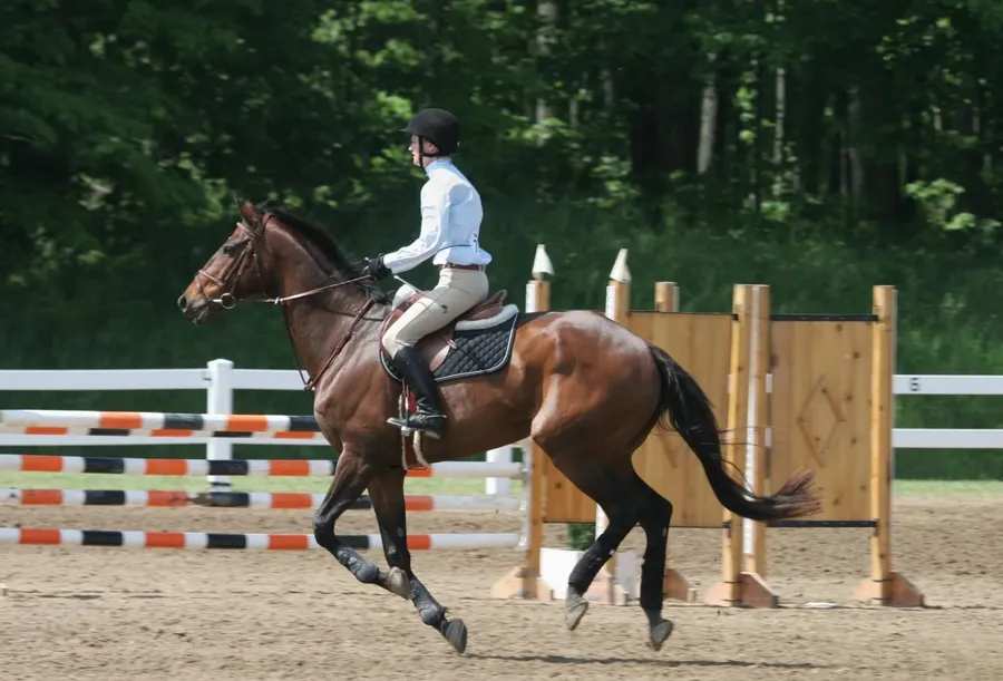 Horse Riding Course at Natuzzi Harmony.