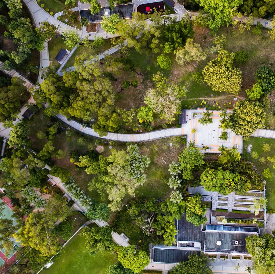 Linear Park at Bay Villas.