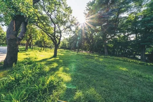 Parks & Gardens at Waves Opulence.