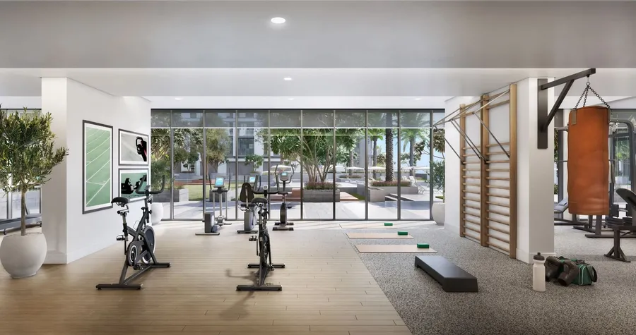 Fully Equipped Gym at Elvira.
