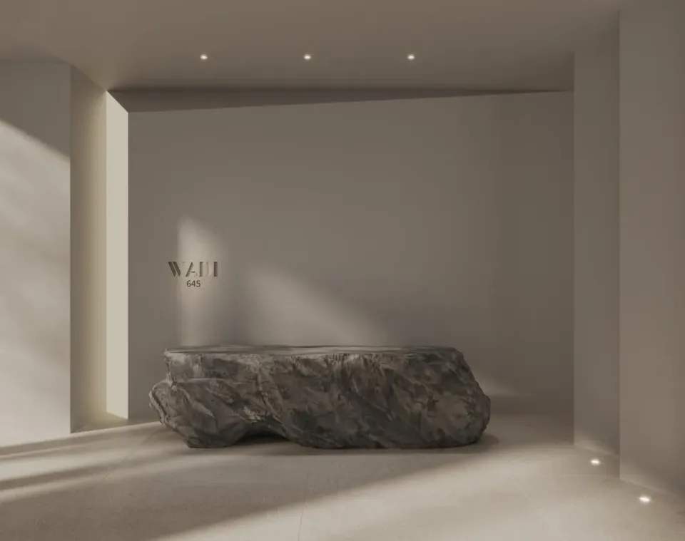 Wadi 645, Majan · render 4