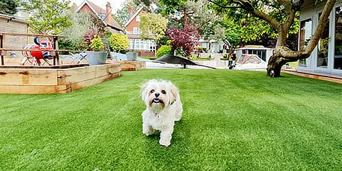 Pet Garden at Sol Levante.